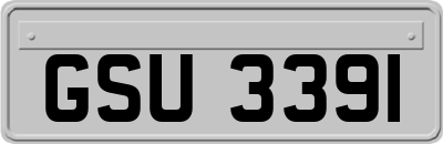 GSU3391