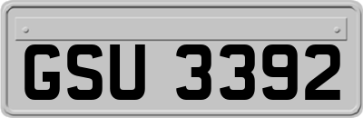 GSU3392