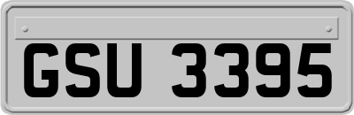 GSU3395