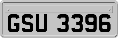GSU3396