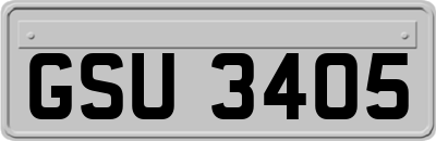 GSU3405