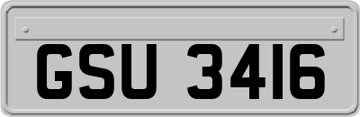 GSU3416