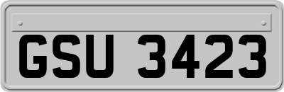 GSU3423