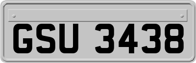 GSU3438