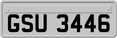 GSU3446