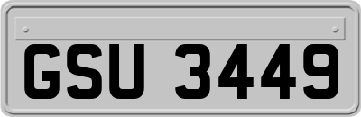 GSU3449