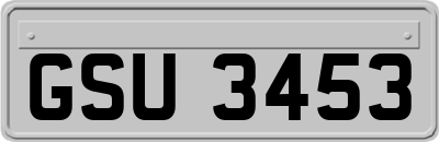 GSU3453
