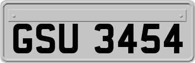 GSU3454
