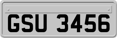 GSU3456