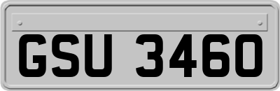 GSU3460
