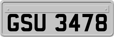 GSU3478