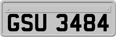 GSU3484