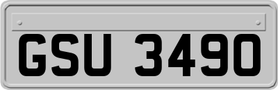 GSU3490