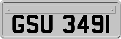 GSU3491