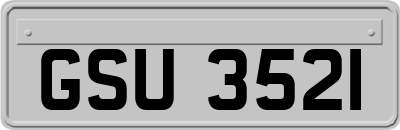 GSU3521