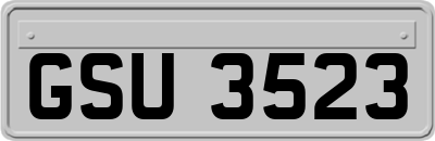 GSU3523