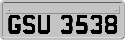 GSU3538