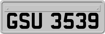 GSU3539