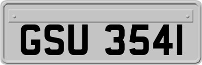 GSU3541