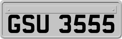 GSU3555
