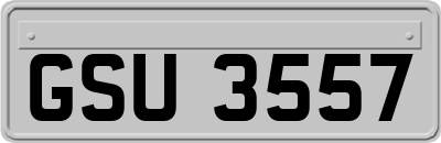 GSU3557