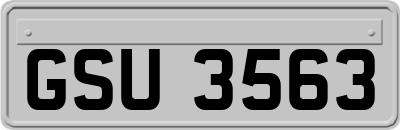 GSU3563