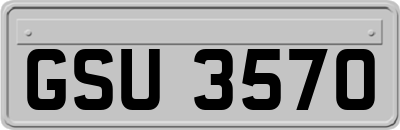 GSU3570