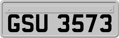 GSU3573