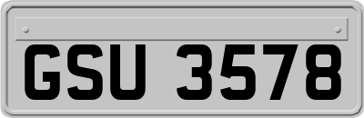 GSU3578
