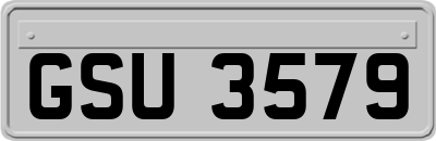 GSU3579