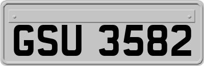 GSU3582