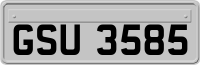 GSU3585