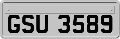 GSU3589