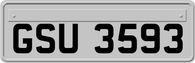 GSU3593