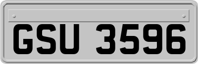 GSU3596