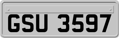 GSU3597