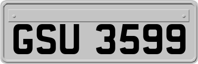 GSU3599