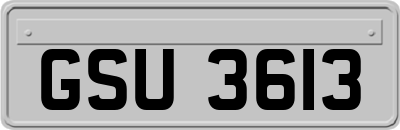 GSU3613