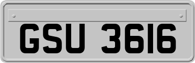 GSU3616