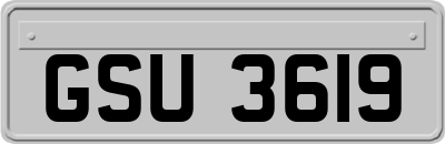 GSU3619
