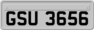 GSU3656