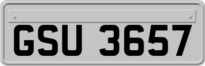 GSU3657