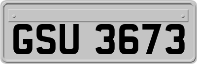 GSU3673