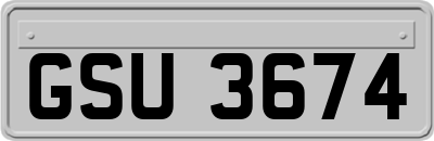 GSU3674