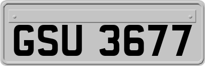 GSU3677