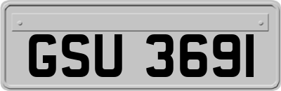 GSU3691