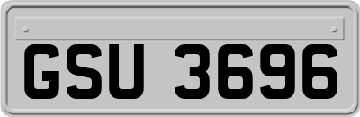 GSU3696