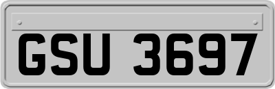 GSU3697