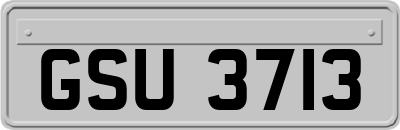 GSU3713