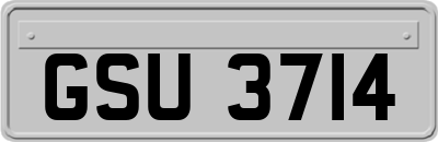 GSU3714
